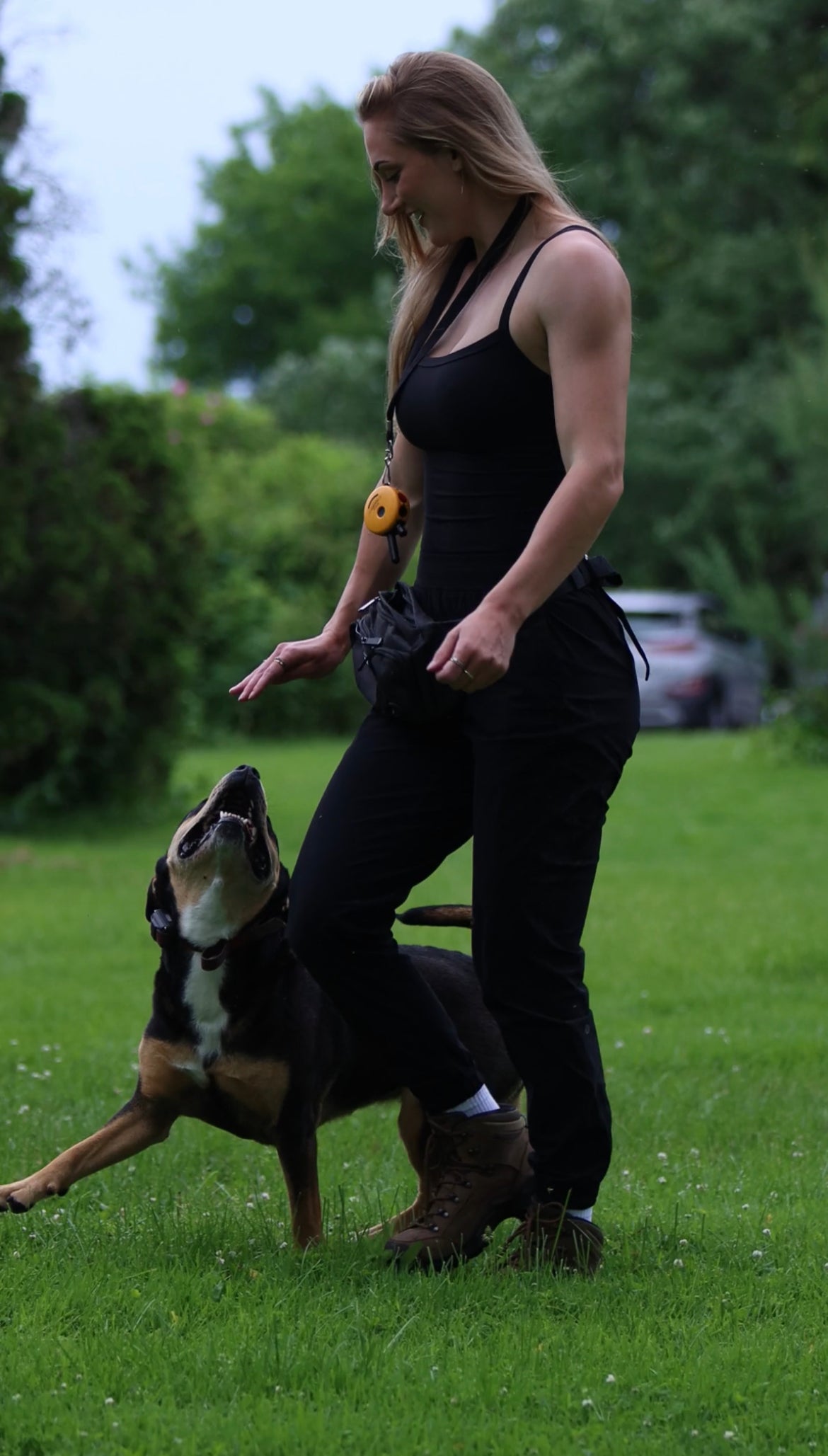 reactive dog ottawa dog training