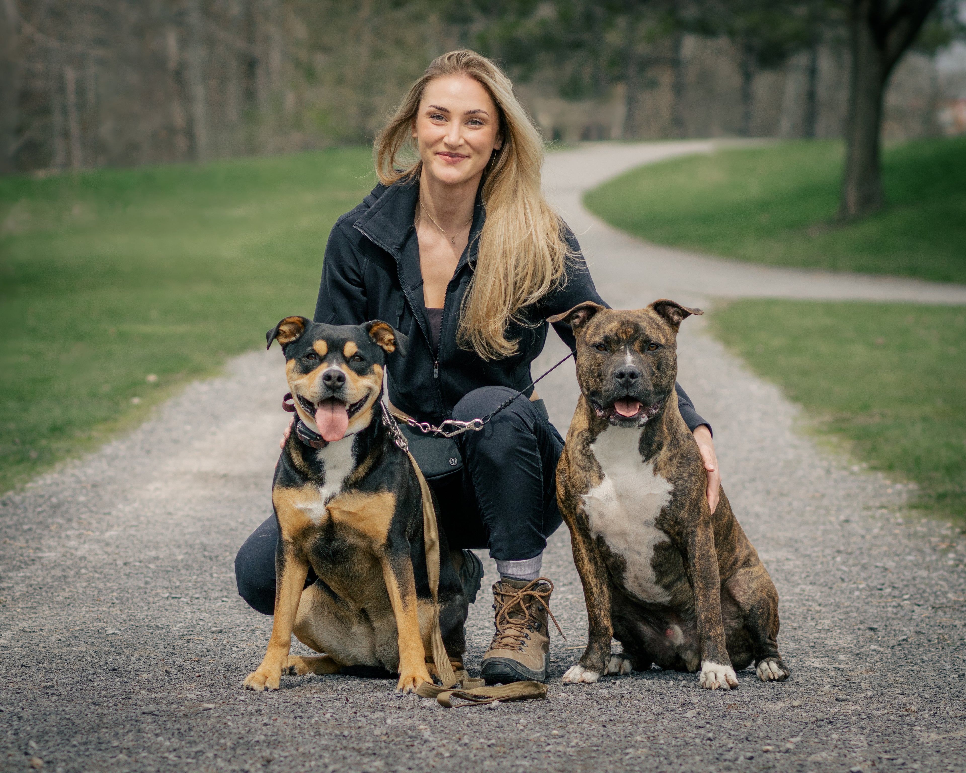 reactive dog ottawa dog training