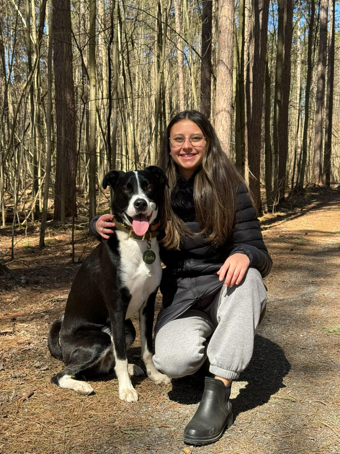 reactive dog ottawa dog training
