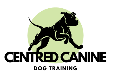 reactive dog ottawa dog training